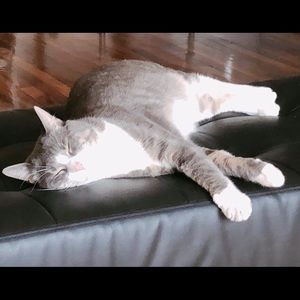 Meet your Posher, Aleja